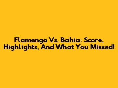 Flamengo Vs. Bahia: Score, Highlights, And What You Missed!
