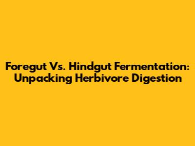 Foregut Vs. Hindgut Fermentation: Unpacking Herbivore Digestion