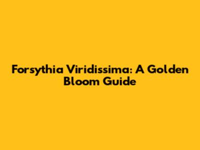 Forsythia Viridissima: A Golden Bloom Guide