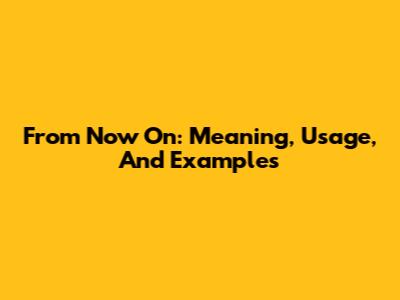 From Now On: Meaning, Usage, And Examples