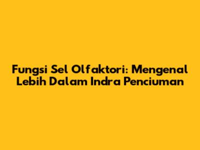 Fungsi Sel Olfaktori: Mengenal Lebih Dalam Indra Penciuman
