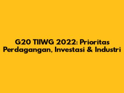 G20 TIIWG 2022: Prioritas Perdagangan, Investasi & Industri