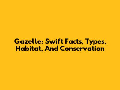 Gazelle: Swift Facts, Types, Habitat, And Conservation