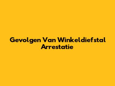 Gevolgen Van Winkeldiefstal Arrestatie