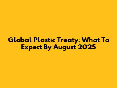 Global Plastic Treaty: What To Expect By August 2025
