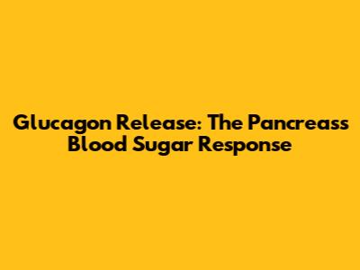 Glucagon Release: The Pancreas's Blood Sugar Response