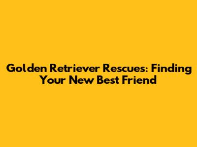 Golden Retriever Rescues: Finding Your New Best Friend