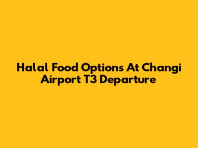 Halal Food Options At Changi Airport T3 Departure