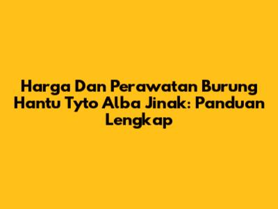 Harga Dan Perawatan Burung Hantu Tyto Alba Jinak: Panduan Lengkap