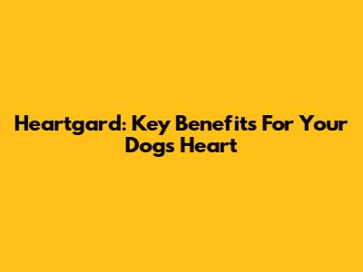 Heartgard: Key Benefits For Your Dog's Heart