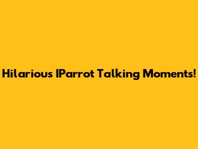 Hilarious IParrot Talking Moments!