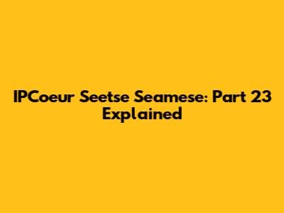 IPCoeur Seetse Seamese: Part 23 Explained