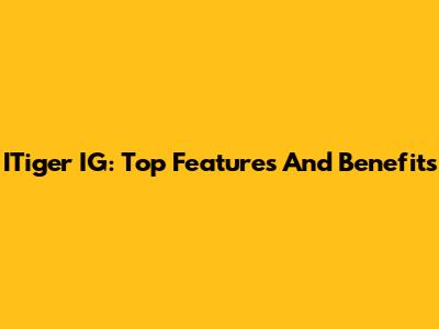 ITiger IG: Top Features And Benefits