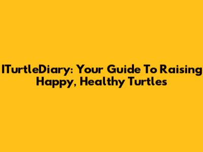 ITurtleDiary: Your Guide To Raising Happy, Healthy Turtles