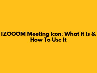 IZOOOM Meeting Icon: What It Is & How To Use It