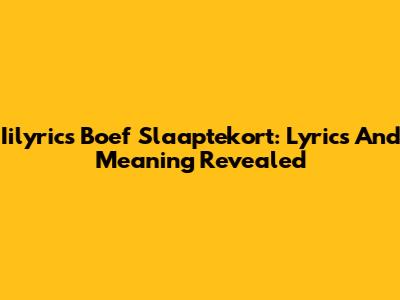Iilyrics Boef Slaaptekort: Lyrics And Meaning Revealed