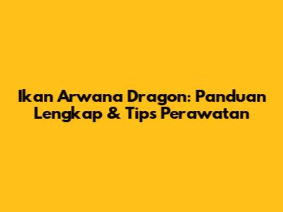 Ikan Arwana Dragon: Panduan Lengkap & Tips Perawatan