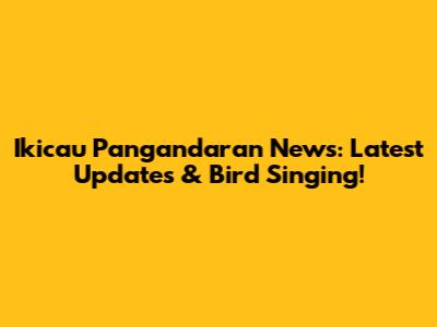 Ikicau Pangandaran News: Latest Updates & Bird Singing!