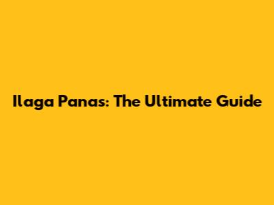 Ilaga Panas: The Ultimate Guide