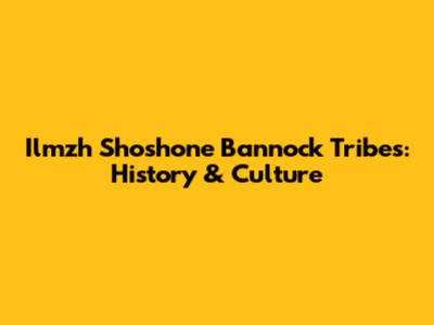 Ilmzh Shoshone Bannock Tribes: History & Culture