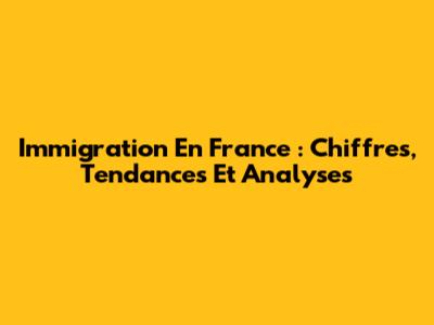 Immigration En France : Chiffres, Tendances Et Analyses