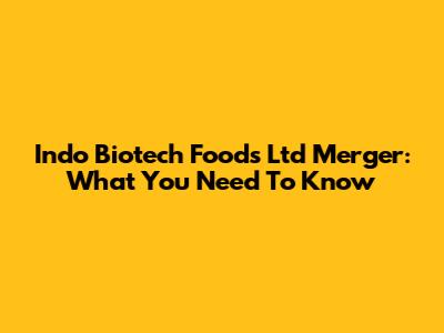 Indo Biotech Foods Ltd Merger: What You Need To Know