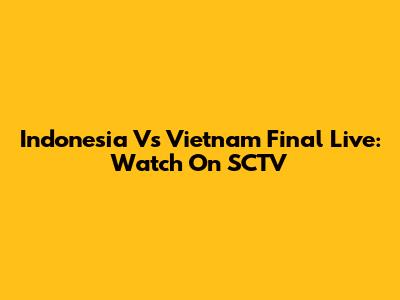 Indonesia Vs Vietnam Final Live: Watch On SCTV