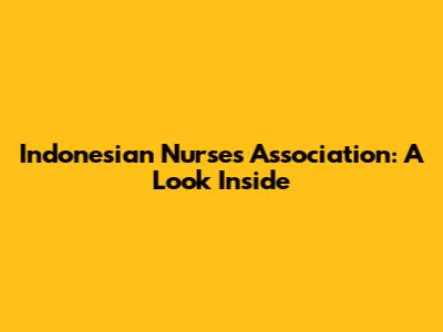 Indonesian Nurses Association: A Look Inside