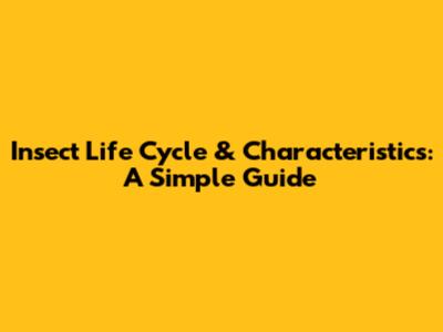 Insect Life Cycle & Characteristics: A Simple Guide
