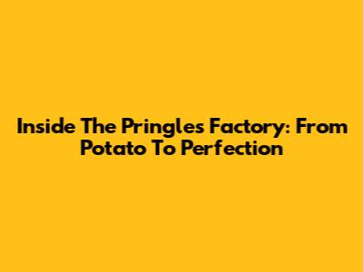 Inside The Pringles Factory: From Potato To Perfection