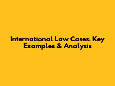 International Law Cases: Key Examples & Analysis