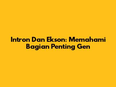 Intron Dan Ekson: Memahami Bagian Penting Gen