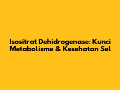 Isositrat Dehidrogenase: Kunci Metabolisme & Kesehatan Sel