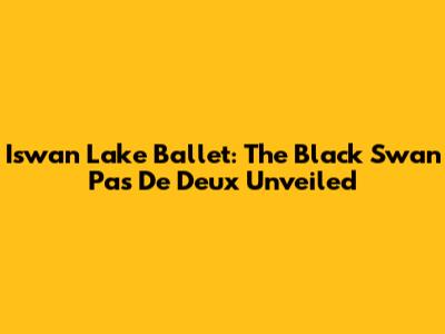 Iswan Lake Ballet: The Black Swan Pas De Deux Unveiled