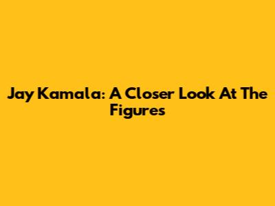 Jay Kamala: A Closer Look At The Figures