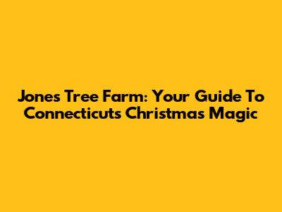 Jones Tree Farm: Your Guide To Connecticut's Christmas Magic