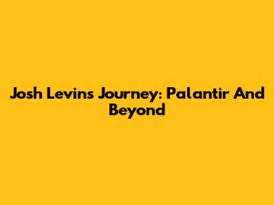 Josh Levin's Journey: Palantir And Beyond