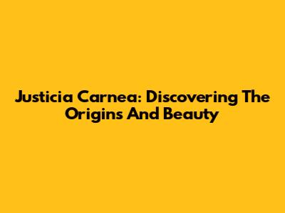Justicia Carnea: Discovering The Origins And Beauty