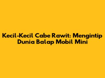 Kecil-Kecil Cabe Rawit: Mengintip Dunia Balap Mobil Mini