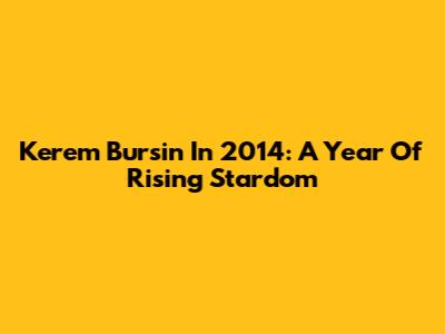 Kerem Bursin In 2014: A Year Of Rising Stardom