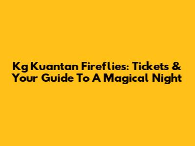 Kg Kuantan Fireflies: Tickets & Your Guide To A Magical Night