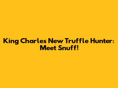 King Charles' New Truffle Hunter: Meet Snuff!
