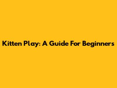 Kitten Play: A Guide For Beginners