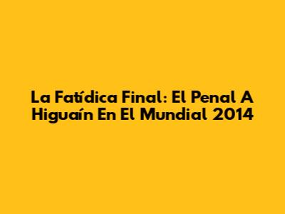 La Fatídica Final: El Penal A Higuaín En El Mundial 2014