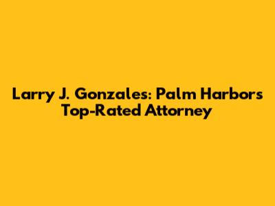 Larry J. Gonzales: Palm Harbor's Top-Rated Attorney