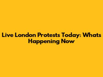 Live London Protests Today: What's Happening Now
