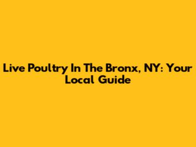 Live Poultry In The Bronx, NY: Your Local Guide