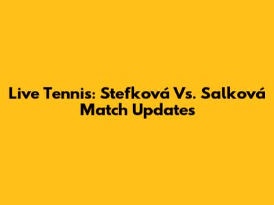 Live Tennis: Stefková Vs. Salková Match Updates