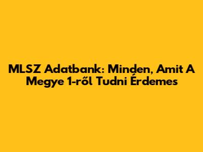 MLSZ Adatbank: Minden, Amit A Megye 1-ről Tudni Érdemes