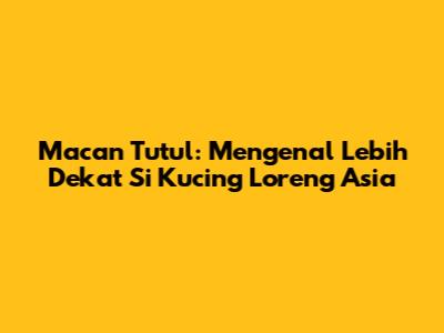 Macan Tutul: Mengenal Lebih Dekat Si Kucing Loreng Asia